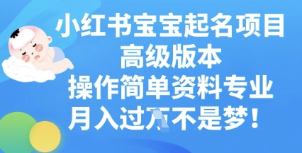 小红书宝宝起名项目高级版本，操作简单，资料专业，月入过W-青年云网创—高质量项目商城