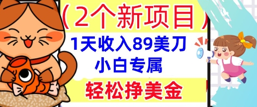 2个新项目,轻松挣美金, 1天收入89美刀,小白专属,干货分享-青年云网创—高质量项目商城