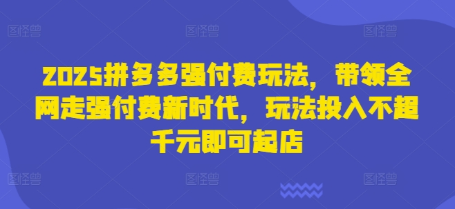 2025拼多多强付费玩法,带领全网走强付费新时代,玩法投入不超千元即可起店-青年云网创—高质量项目商城