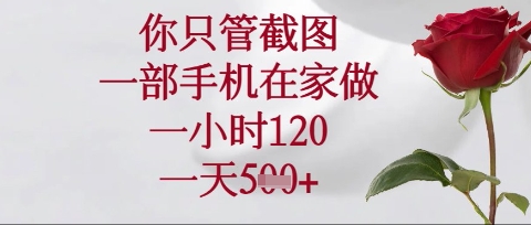 你只管截图,一部手机在家操作,一小时120.一天5张【揭秘】-青年云网创—高质量项目商城